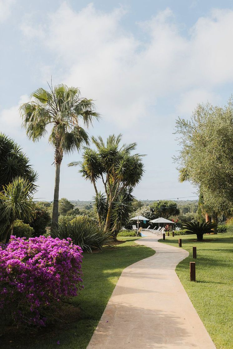 Finca Can Ferragut
